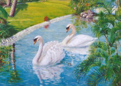 swans-mirage-peter-jean-caley