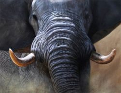 elephant-oil-painting