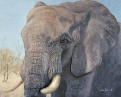 how-to-paint-big-5-elephant-oil