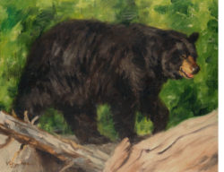 Woodland-Shadow-Black-Bear-Painting1
