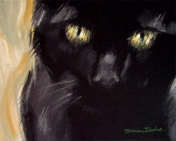 black-cat-15