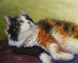 calico_in_repose_oil_painting_cat_art_pets_animals_cats__animals__d495fc9f622cd243c6c1ef7afb3b0e9a