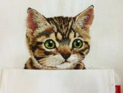 cat-embroidery-a