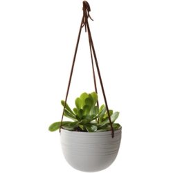 hanging-basket-planters-uk