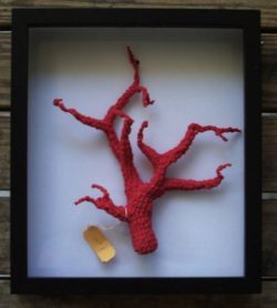 crochet-redcoral.jpg.650x0_q70_crop-smart