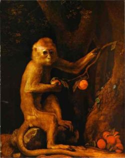 george-stubbs-green-monkey-19469