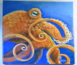 octopus12x12