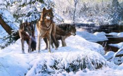 richard-luce-wolves-winter-snow-river-forest-art
