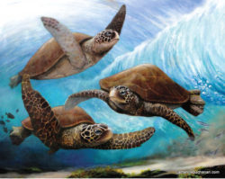 green-sea-turtles-52x60-catherine-buchanan