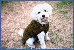 crochet-dog-sweater-free