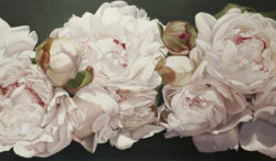 pink-white-peonies-oil-painting-thomas-darnell
