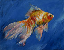 goldfish-michael-creese