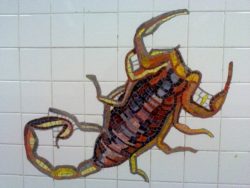 scorpion-81st-station-nyc