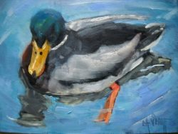 wildlife_painting__duck_painting__mr_mallard_by_ca_birds__animals__d14ab40087047a3a266b3b1c3b0ed45f