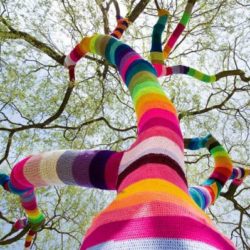 yarn-bombing-tree-guerilla-knitting-yarnstorming-graffiti-knitting