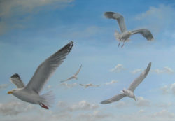 28-oil-seagulls-blue-sky (1)