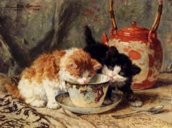 4-Tea-Time-animal-cat-Henriette-Ronner-Knip