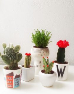 Small_cactus_garden_table_decor