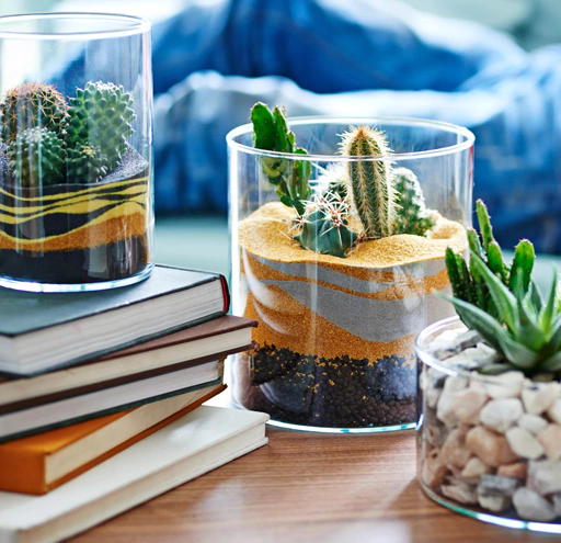 ikea-sand-garden-with-cactus-and-succulents-__1364308804483-s3