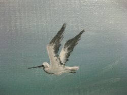 tihaney-oil-painting-16-x-20-seascape-painting-pelican-seagulls-listed-artist-c89ba0d5176d3e4e5c653dff2cc241c1
