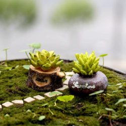 2pcs-Cactus-Potting-Mini-fairy-resin-garden-gnomes-Miniatures-terrarium-decoration-crafts-bonsai-Jardin-Micro-Landscape