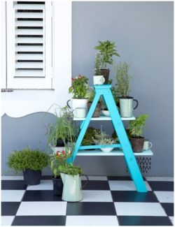 6-Outdoor-Decor-Ideas-with-Ladder-for-Outdoor-Garden-1