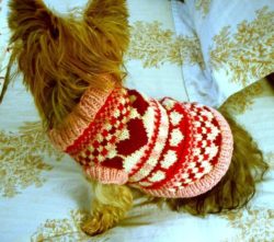 Puppy-love-sweater