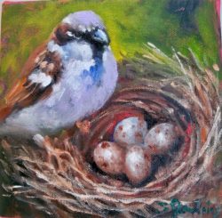 sparrow with nest 003