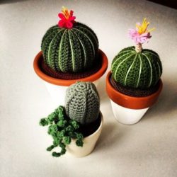 3e9eda3b7d01f37ae240f4995432fa2e--crochet-cactus-crochet-flowers