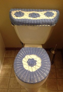 a3febbed0f43fe5942276f96727215bb--toilet-seat-covers-toilet-seats