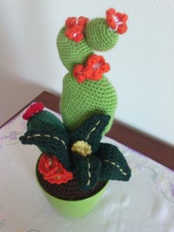 bd873443fbbe01c6ad6193855d2329bc--cactus-art-crochet-cactus