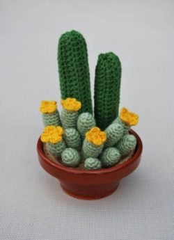 d6e4d7fa93fcbf68c926936aaf55482e--crochet-flowers-cactus-en-crochet