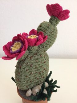 d7f475ece580b3104947752aa242b6dd--crochet-cactus-crochet-flowers