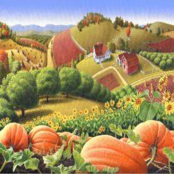 country-landscape-appalachian-pumpkin-patch-country-farm-life-square-format-walt-curlee