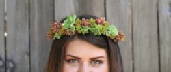succulent-crown-succulents-maternity-photography-tayia-rae-photos-needlesandleaves_net