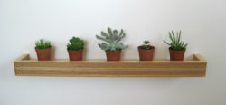 floating-shelf-succulents