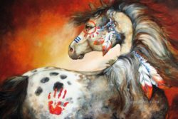 4-feathers-indian-war-pony-marcia-baldwin-horses