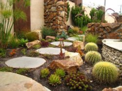 Outdoor-Cactus-Garden-Design