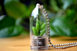 mini-cactus-terrarium-keychains-5