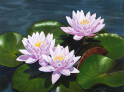 pink-water-lilies-oil-painting-on-canvas-elena-polozova