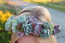 succulent_hair_crown_wedding_bridal_3_-2