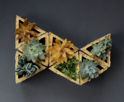 triangle-succulent-planters
