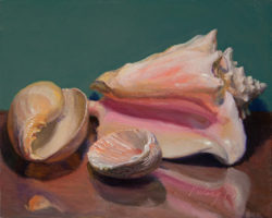 141021 seashells