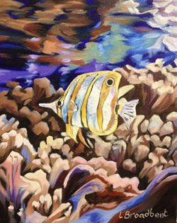 Butterfly-Fish-Oil-on-Canvas-20x25cm-Sold