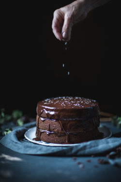 Chocolate-Buttermilk-Cake-by-Eva-Kosmas-Flores-2