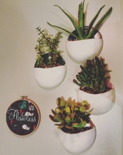 Walls+Pockets+Displayed+With+Succulents