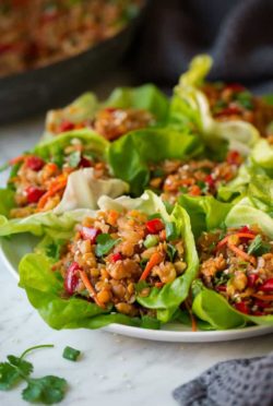 asian-lentil-lettuce-wraps-5-768x1144