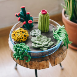 crochet-succulents_sq_0