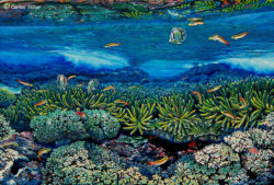 el bajo del coral