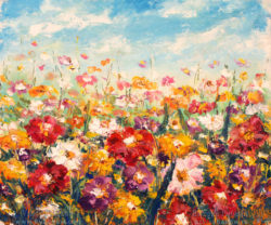 field-warm-flowers-388-700